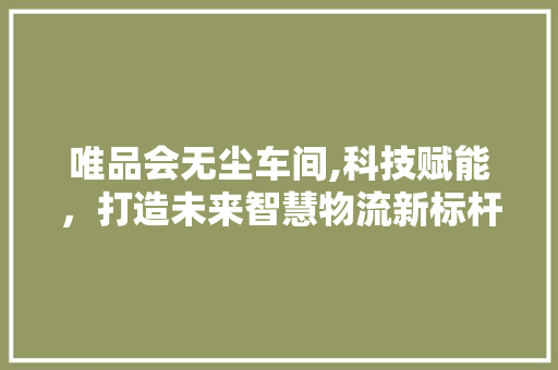 唯品会无尘车间,科技赋能，打造未来智慧物流新标杆