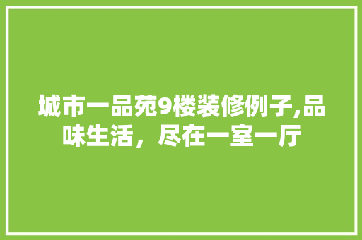 城市一品苑9楼装修例子,品味生活，尽在一室一厅
