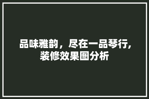 品味雅韵，尽在一品琴行,装修效果图分析