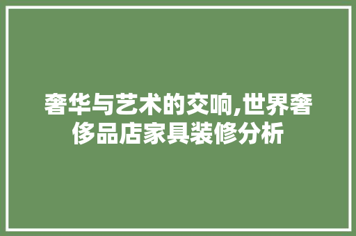 奢华与艺术的交响,世界奢侈品店家具装修分析