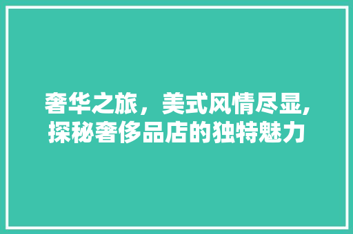 奢华之旅，美式风情尽显,探秘奢侈品店的独特魅力