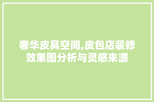 奢华皮具空间,皮包店装修效果图分析与灵感来源