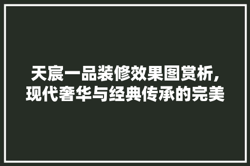 天宸一品装修效果图赏析,现代奢华与经典传承的完美融合