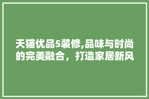 天猫优品5装修,品味与时尚的完美融合，打造家居新风尚