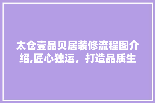 太仓壹品贝居装修流程图介绍,匠心独运，打造品质生活空间
