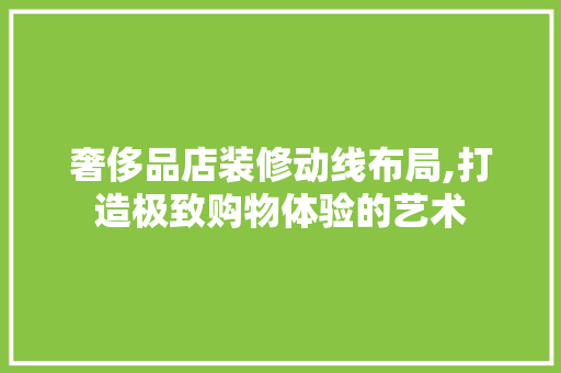 奢侈品店装修动线布局,打造极致购物体验的艺术