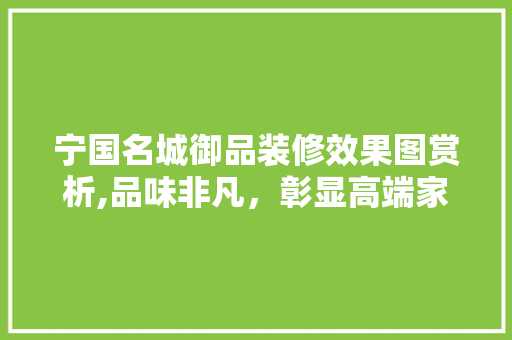 宁国名城御品装修效果图赏析,品味非凡，彰显高端家居美学