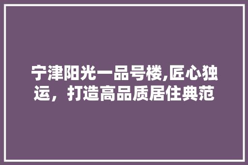 宁津阳光一品号楼,匠心独运，打造高品质居住典范