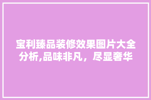 宝利臻品装修效果图片大全分析,品味非凡，尽显奢华品质