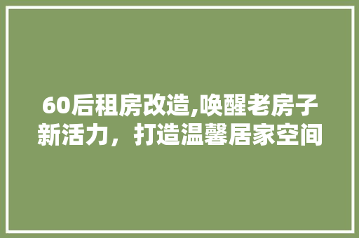 60后租房改造,唤醒老房子新活力，打造温馨居家空间 厨房维修