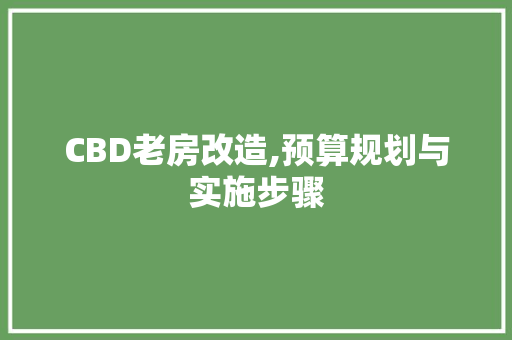 CBD老房改造,预算规划与实施步骤 墙体维修