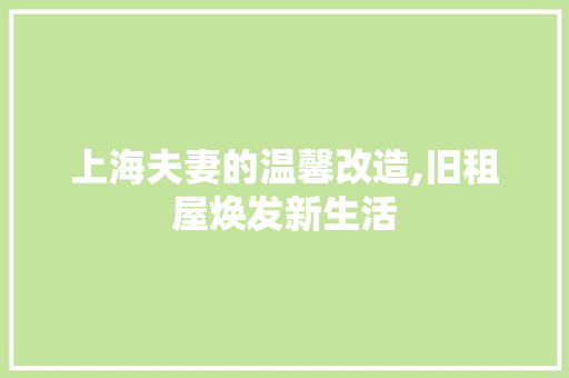 上海夫妻的温馨改造,旧租屋焕发新生活