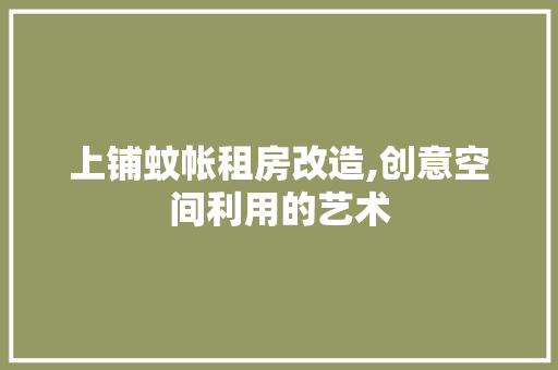 上铺蚊帐租房改造,创意空间利用的艺术