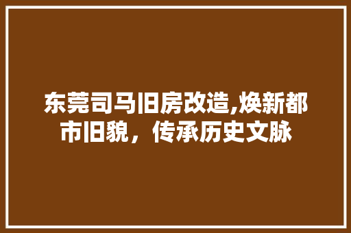 东莞司马旧房改造,焕新都市旧貌，传承历史文脉 综合便民