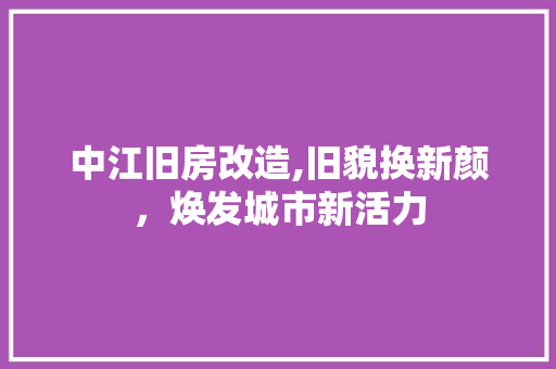 中江旧房改造,旧貌换新颜，焕发城市新活力 综合便民