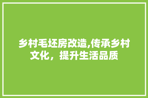 乡村毛坯房改造,传承乡村文化，提升生活品质