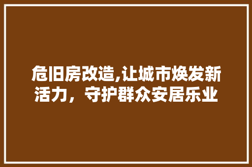 危旧房改造,让城市焕发新活力，守护群众安居乐业