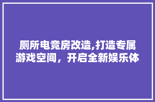 厕所电竞房改造,打造专属游戏空间，开启全新娱乐体验