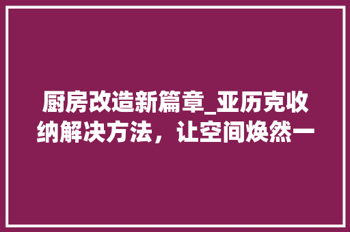 厨房改造新篇章_亚历克收纳解决方法，让空间焕然一新