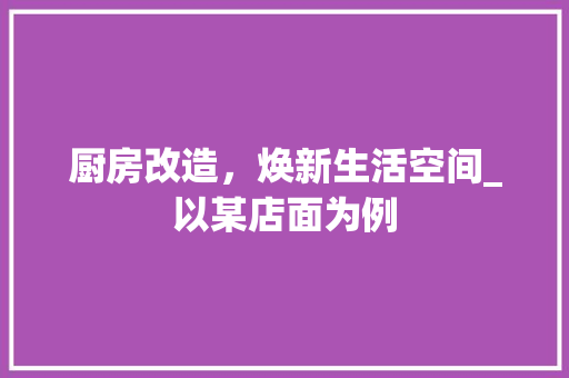 厨房改造，焕新生活空间_以某店面为例