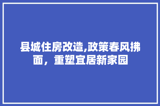 县城住房改造,政策春风拂面，重塑宜居新家园