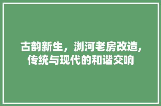 古韵新生，浏河老房改造,传统与现代的和谐交响 综合便民