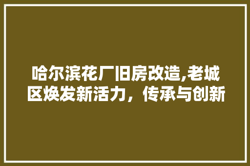 哈尔滨花厂旧房改造,老城区焕发新活力，传承与创新共舞 汽车维修