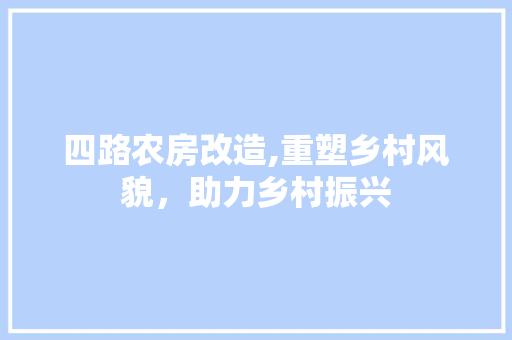 四路农房改造,重塑乡村风貌，助力乡村振兴 墙体维修