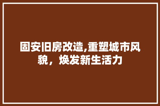 固安旧房改造,重塑城市风貌，焕发新生活力 墙体维修
