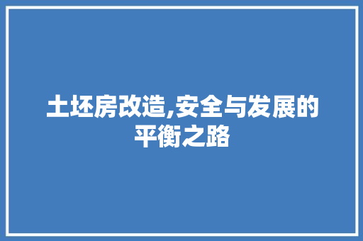 土坯房改造,安全与发展的平衡之路 综合便民