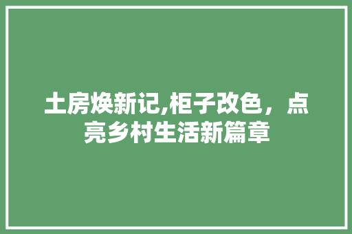 土房焕新记,柜子改色，点亮乡村生活新篇章