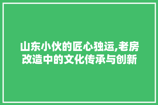 山东小伙的匠心独运,老房改造中的文化传承与创新