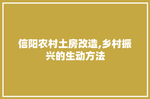 信阳农村土房改造,乡村振兴的生动方法 墙体维修