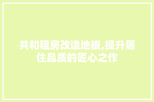 共和租房改造地板,提升居住品质的匠心之作 汽车维修