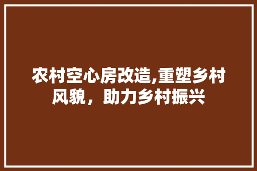 农村空心房改造,重塑乡村风貌，助力乡村振兴