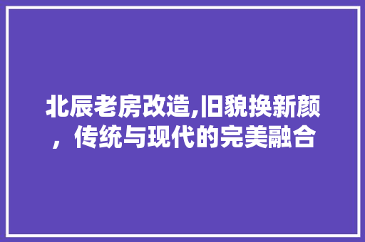 北辰老房改造,旧貌换新颜，传统与现代的完美融合 墙体维修