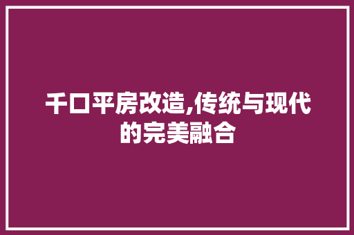 千口平房改造,传统与现代的完美融合 家电维修