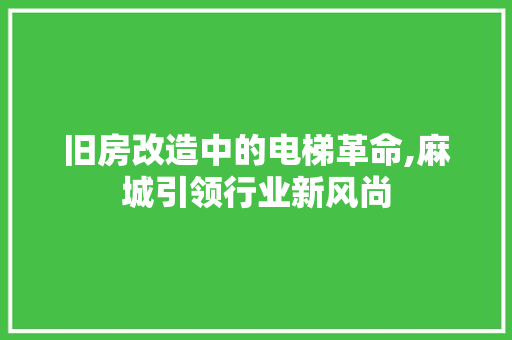 旧房改造中的电梯革命,麻城引领行业新风尚 家电维修