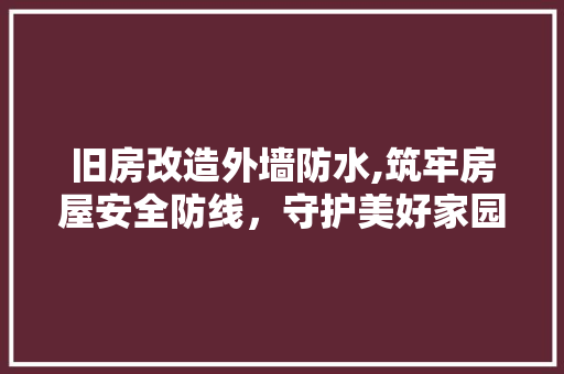 旧房改造外墙防水,筑牢房屋安全防线，守护美好家园