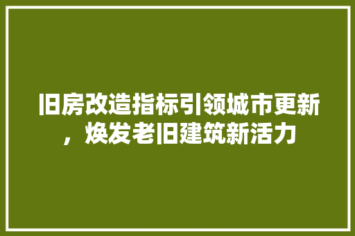 旧房改造指标引领城市更新，焕发老旧建筑新活力
