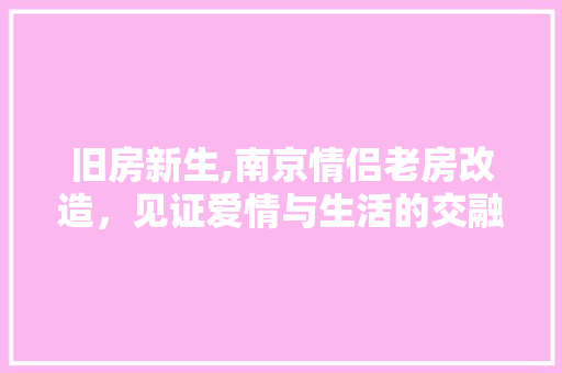 旧房新生,南京情侣老房改造，见证爱情与生活的交融