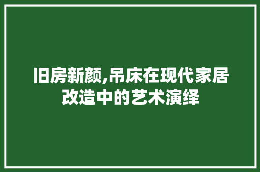 旧房新颜,吊床在现代家居改造中的艺术演绎