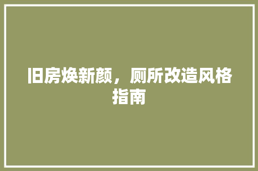 旧房焕新颜，厕所改造风格指南