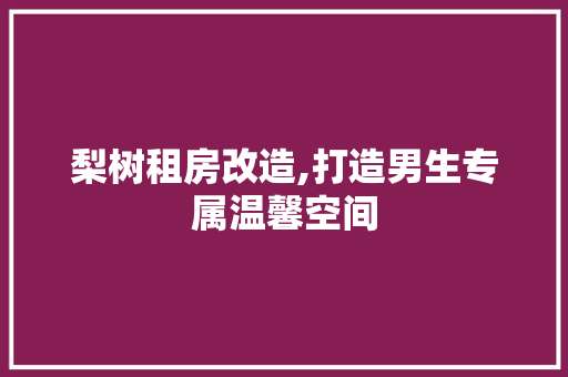 梨树租房改造,打造男生专属温馨空间