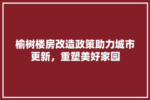 榆树楼房改造政策助力城市更新，重塑美好家园