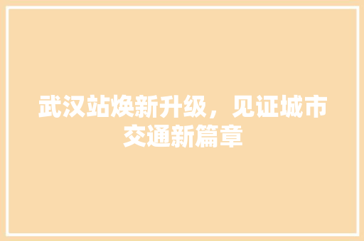 武汉站焕新升级，见证城市交通新篇章