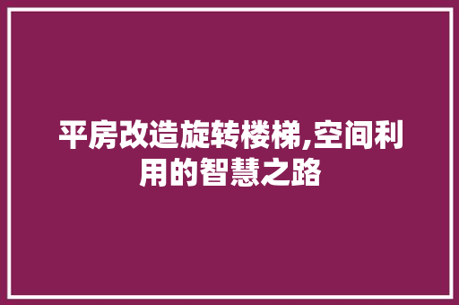 平房改造旋转楼梯,空间利用的智慧之路 厨房维修