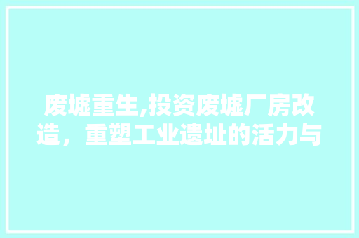 废墟重生,投资废墟厂房改造，重塑工业遗址的活力与价值 墙体维修