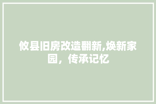 攸县旧房改造翻新,焕新家园，传承记忆