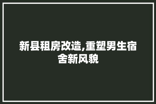 新县租房改造,重塑男生宿舍新风貌